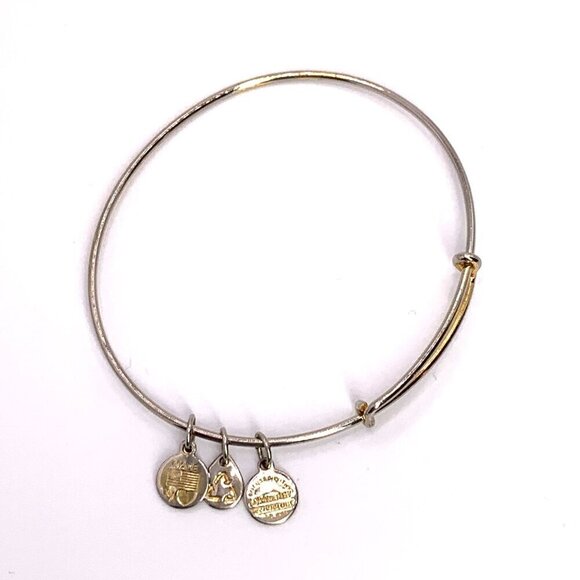 Alex and Ani Charm Station Bracelet Silver Gold Finish - Expands 2"- 3.5" - Picture 3 of 3